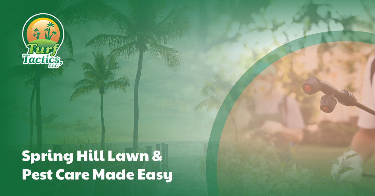 Flea Pest Control in Spring Hill, FL | Turf Tactics LLC