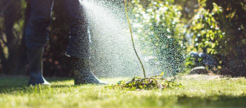 Lawn Care & Spraying
